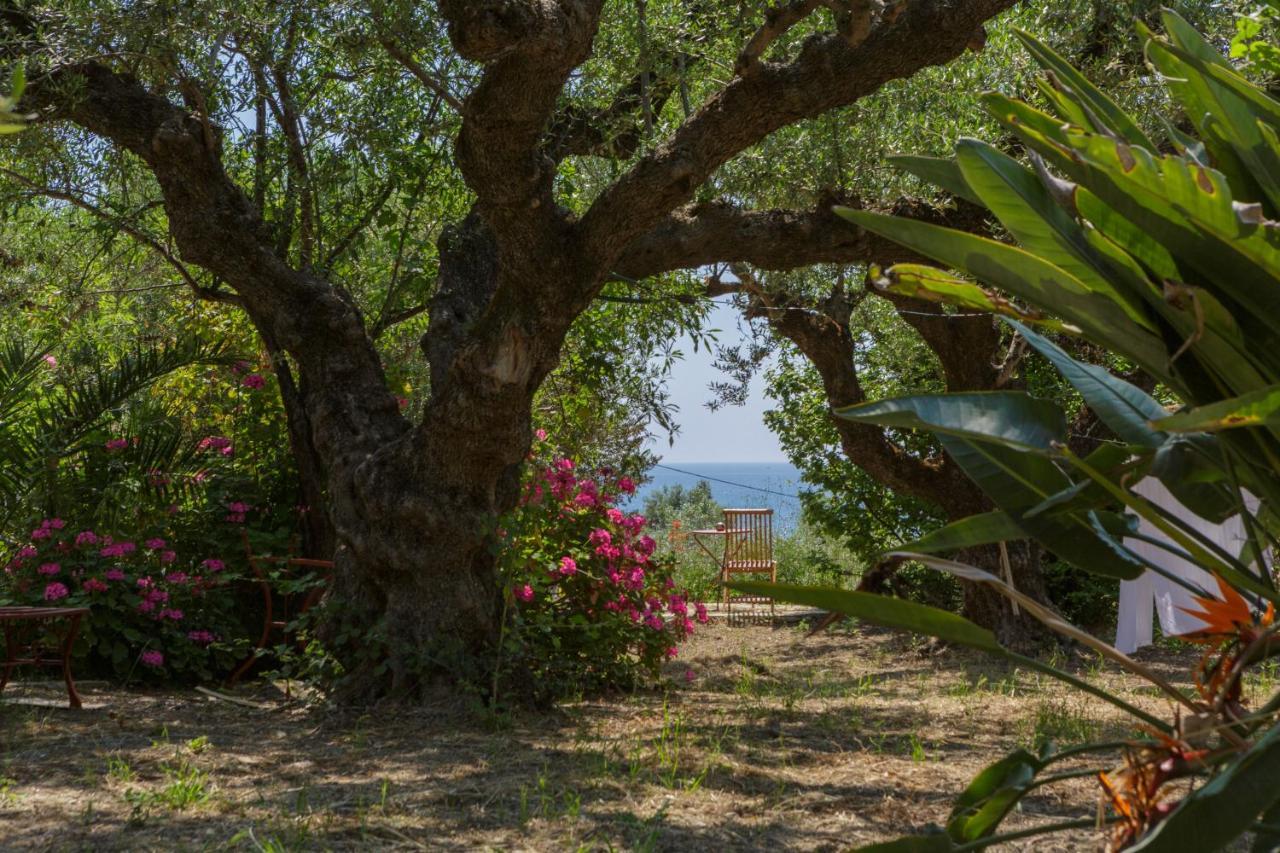 Villa Anta House By The Sea Lithakia  Exteriér fotografie