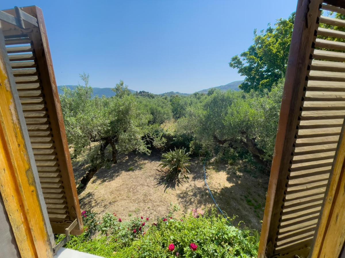 Villa Anta House By The Sea Lithakia  Exteriér fotografie